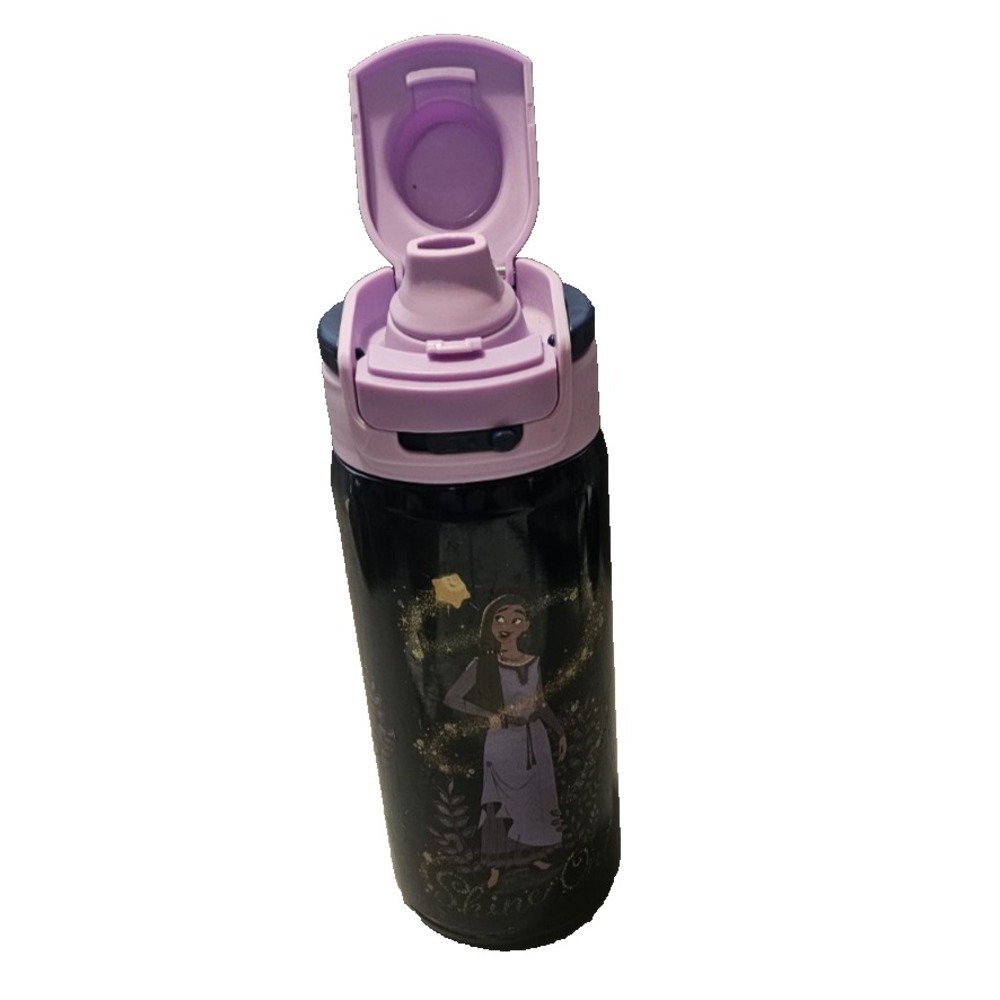 Zak Designs 14oz Wish Kids Straw Water Bottle Stainless Steel Vacuum Insulated